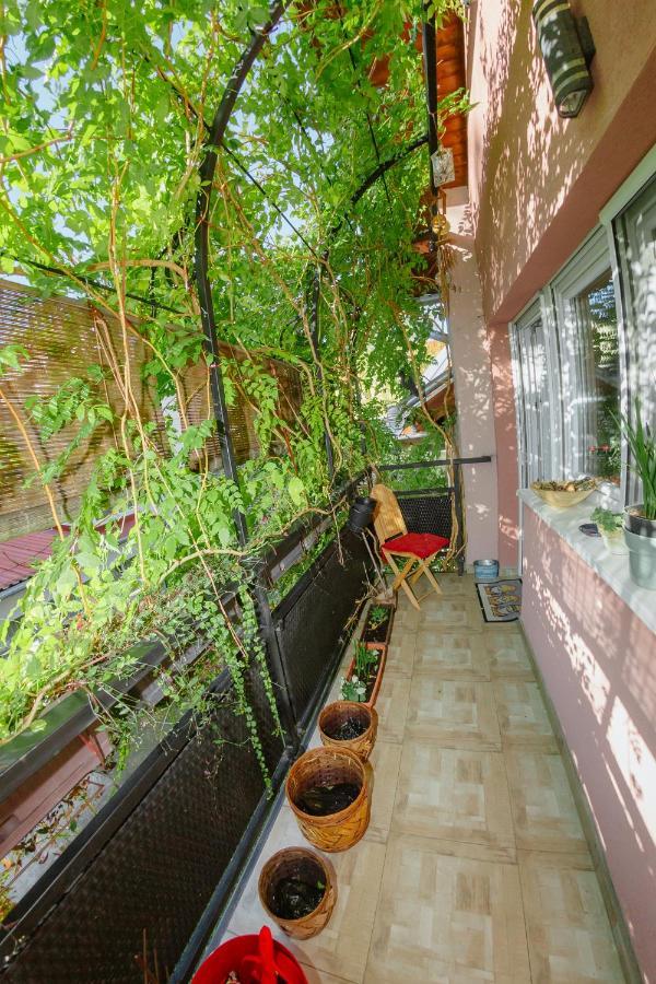 Apartman Zamak Sombor Zewnętrze zdjęcie