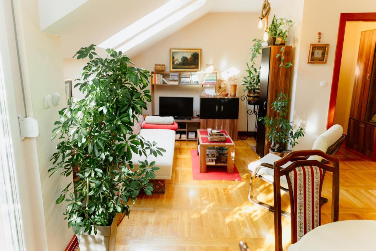 Apartman Zamak Sombor Zewnętrze zdjęcie